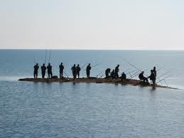 Ловля пеленгаса на Азовском море